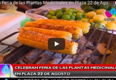 Celebran Feria de las Plantas Medicinales en Plaza 22 de Agosto
