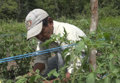 Reservorios de agua, una alternativa eficaz en el corredor seco de Nueva Segovia