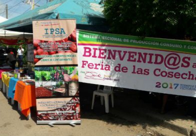 Chinandega: Desarrollan feria de las cosechas y productos lácteos