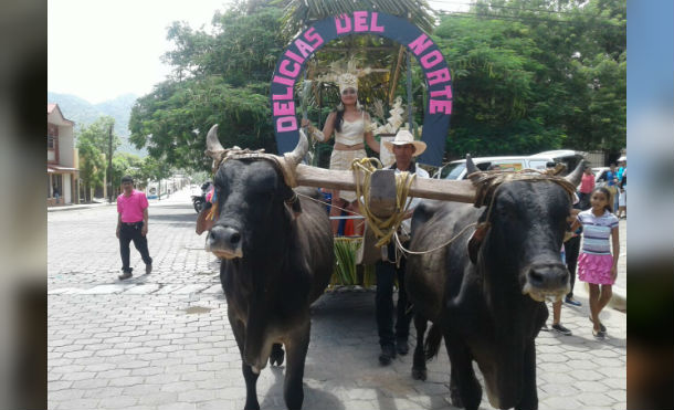 festivalrosquillas1