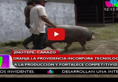 Granja La Providencia incorpora tecnología a la producción y fortalece competitividad