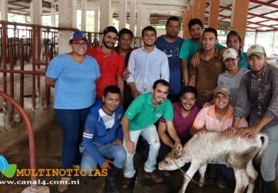 Rivas: Nace primera ternera bajo el proceso de inseminación artificial El Torito