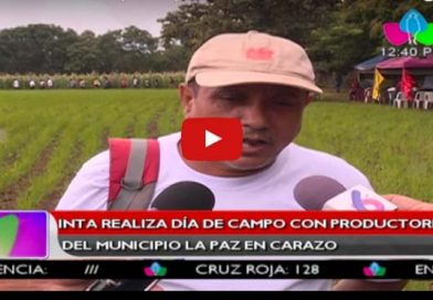 INTA realiza día de campo con productores del Municipio La Paz en Carazo