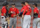 Los Leones regresan al Béisbol Profesional