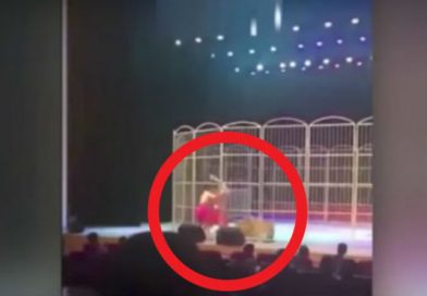 Domador sufre terrible ataque de un tigre durante show