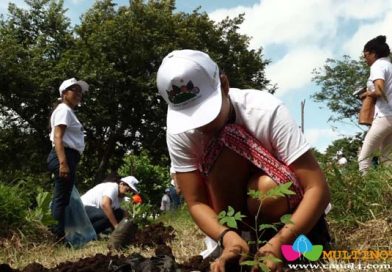Rivas: Empresa privada e instituciones se suman a la cruzada nacional de reforestación