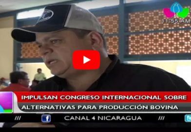 Chontales: Impulsan congreso internacional sobre alternativas para la producción bovina