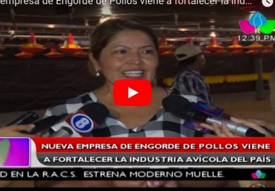 Nueva empresa de Engorde de Pollos viene a fortalecer la industria avícola del país
