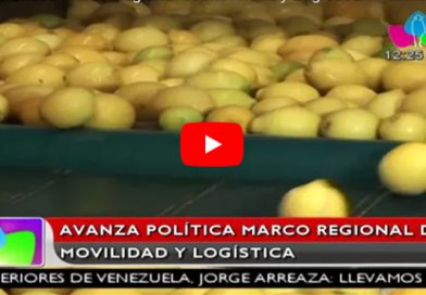 Avanza Política Marco Regional de Movilidad y Logística