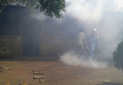 Ministerio de Salud continúa lucha contra enfermedades vectoriales y virales