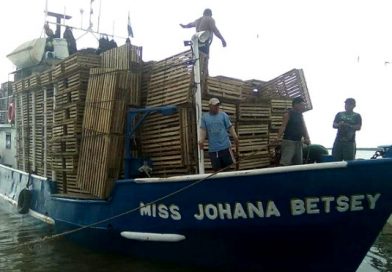 Fuerza Naval realizó nueva búsqueda de cuerpos en barco Miss Johana Betsey