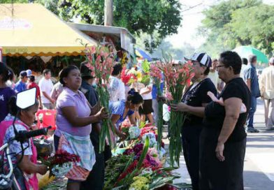 Gobierno adelantará salario de Noviembre a trabajadores del Estado