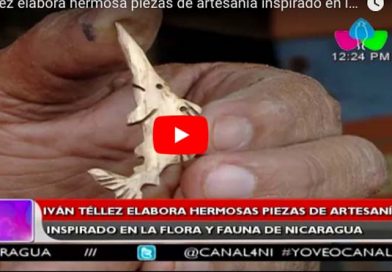 Iván Téllez elabora hermosas piezas de artesanía inspirado en la flora y la fauna de Nicaragua