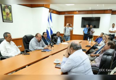 Consejo Supremo Electoral llama a realizar una campaña pacífica