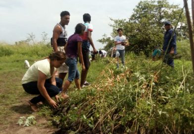 Exitosa jornada de reforestación en Isla El Cardón