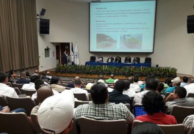 Sectores económicos adquieren nuevos conocimientos técnicos y tecnológicos