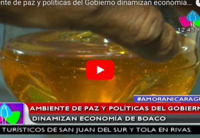 Ambiente de paz y políticas del Gobierno dinamizan economía de Boaco
