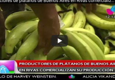 Productores de plátanos de Buenos Aires en Rivas comercializan su producción