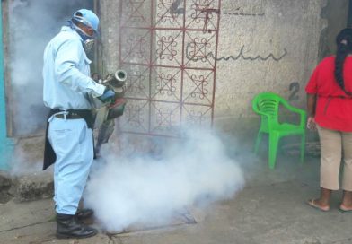 Intensa jornada de fumigación en el barrio Ángel Valentino del distrito V de Managua