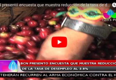 BCN presentó encuesta que muestra reducción de la tasa de desempleo al 3.8 %