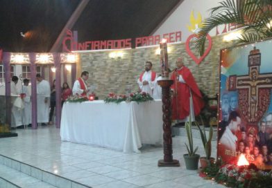 cardenalbrenes1