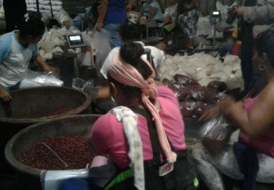 Gobierno Sandinista envía alimentos a familias afectadas por la tormenta tropical Nate