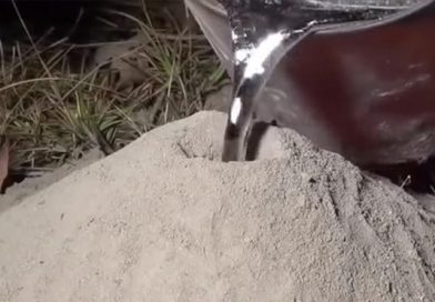 Echaron aluminio fundido en un hormiguero y el resultado ha causado controversia