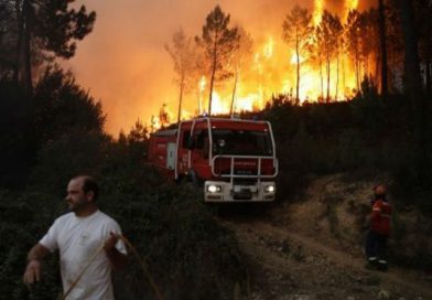 Protección Civil reporta seis grandes incendios en Portugal