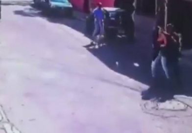 Graban a ladrones usando un perro pitbull para asaltar a una mujer