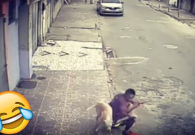 Perro orina a hombre distraído con su celular