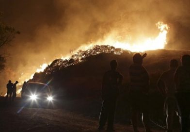 Portugal: al menos 31muertos en una ola de incendios en el centro del país