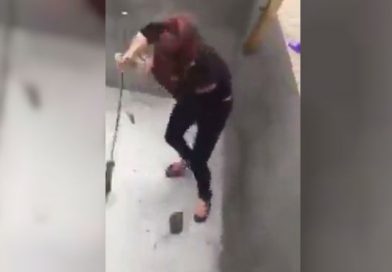 (+Vídeo) Mujer se enfrenta a rata gigante con un resultado inesperado