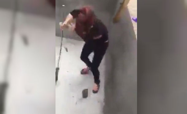 (+Vídeo) Mujer se enfrenta a rata gigante con un resultado inesperado