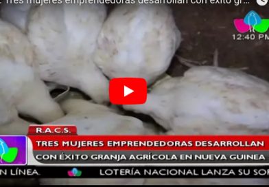 R.A.C.S: Tres mujeres emprendedoras desarrollan con éxito granja agrícola en Nueva Guinea