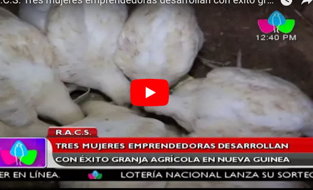 R.A.C.S: Tres mujeres emprendedoras desarrollan con éxito granja agrícola en Nueva Guinea