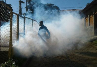 Ministerio de Salud continúa con atacando al mosquito transmisor de enfermedades