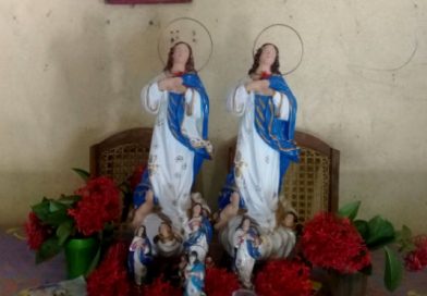 Familias católicas de Malpaisillo utilizan flor de madroño para sus altares Marianos