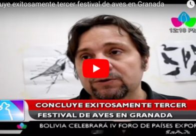 Concluye exitosamente tercer festival de aves en Granada