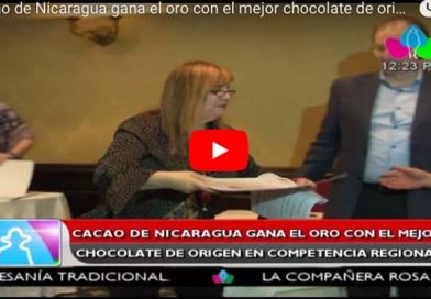 Cacao de Nicaragua gana el oro con el mejor chocolate de origen en competencia regional
