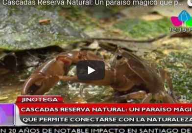 Jinotega: Cascadas Reserva Natural: Un paraíso mágico que permite conectarse con la naturaleza