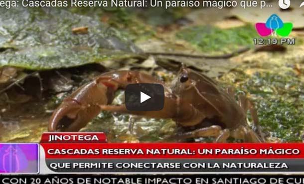 Jinotega: Cascadas Reserva Natural: Un paraíso mágico que permite conectarse con la naturaleza