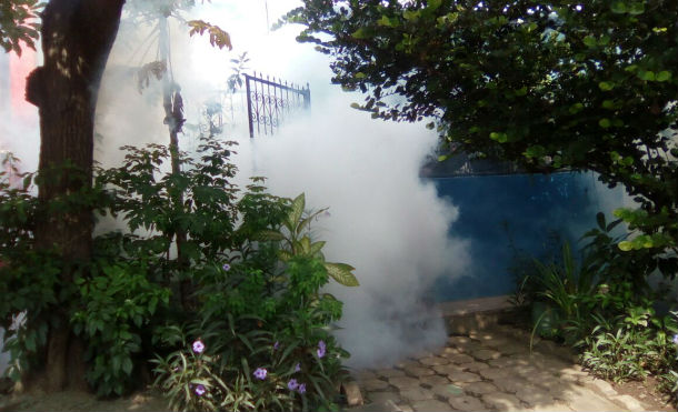 fumigacionvillalibertad
