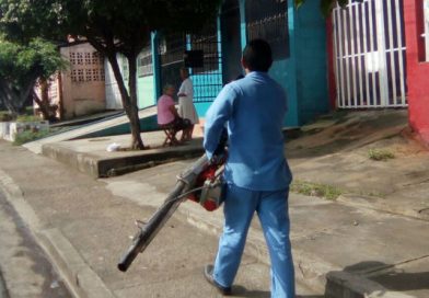 Minsa continúa ciclo de fumigación en el Anexo a Villa Libertad
