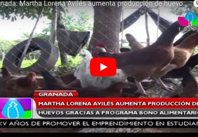 Granada: Martha Lorena Avilés aumenta producción de huevos gracias a programa Bono Alimentario