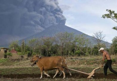 Indonesia: alerta máxima y 100 mil evacuados ante la "erupción inminente" del volcán Agung en Bali