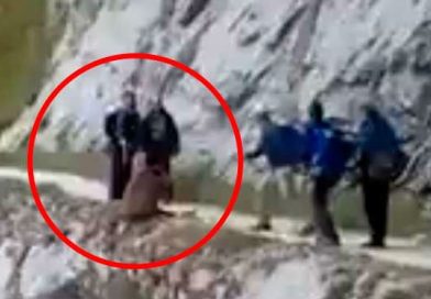 Grupo de jóvenes empuja por un barranco a un jabalí