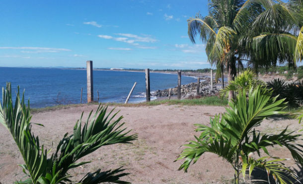 marisco5
