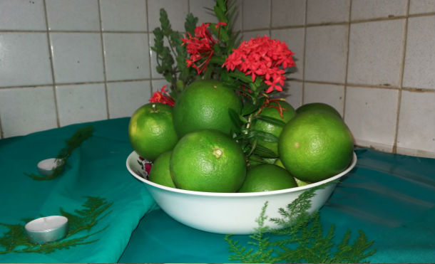 medicinanatural4