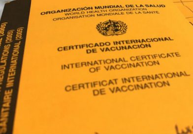 Minsa alerta ante declaratoria epidemiológica de la OPS por fibre amarilla