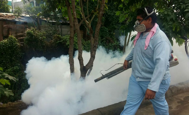 MINSA no da tregua a los mosquitos, continúa intensa jornada antiepidémica en Managua
